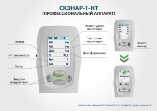 СКЭНАР-1-НТ (исполнение 01)  в Ногинске купить Нейродэнс ПКМ официальный сайт - denasdevice.ru 