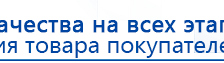 СКЭНАР-1-НТ (исполнение 01 VO) Скэнар Мастер купить в Ногинске, Аппараты Скэнар купить в Ногинске, Нейродэнс ПКМ официальный сайт - denasdevice.ru